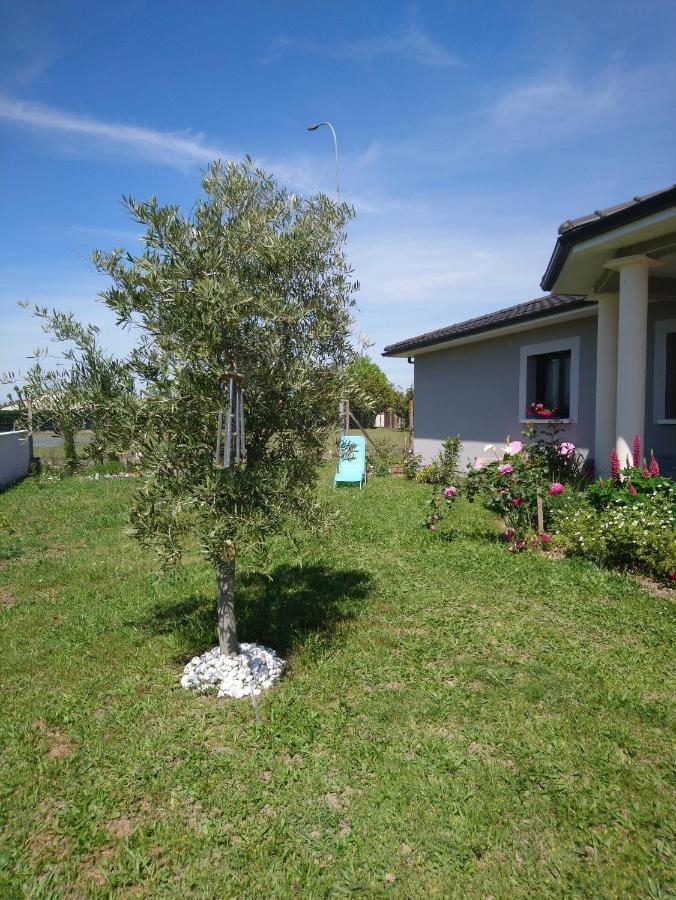 Le Bonheur A Portee De Mains Bergerac Exterior photo